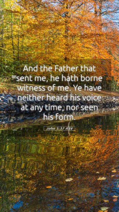 Picture 05 - John 5:37 ASV Mobile Phone Wallpaper - And the Father that sent me, he hath borne - Mobile Bible Verse Wallpaper