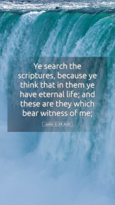 Picture 05 - John 5:39 ASV Mobile Phone Wallpaper - Ye search the scriptures, because ye think that - Mobile Bible Verse Wallpaper