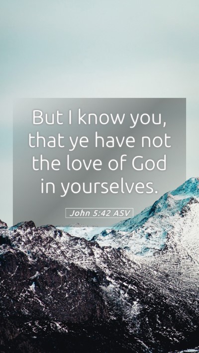 Picture 05 - John 5:42 ASV Mobile Phone Wallpaper - But I know you, that ye have not the love of God - Mobile Bible Verse Wallpaper