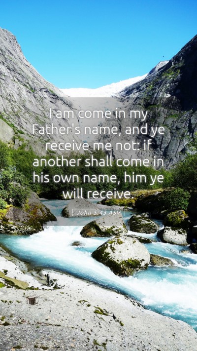 Picture 05 - John 5:43 ASV Mobile Phone Wallpaper - I am come in my Father's name, and ye receive me - Mobile Bible Verse Wallpaper