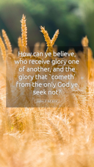 Picture 05 - John 5:44 ASV Mobile Phone Wallpaper - How can ye believe, who receive glory one of - Mobile Bible Verse Wallpaper