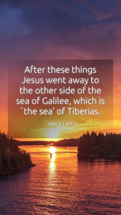 Picture 05 - John 6:1 ASV Mobile Phone Wallpaper - After these things Jesus went away to the other - Mobile Bible Verse Wallpaper