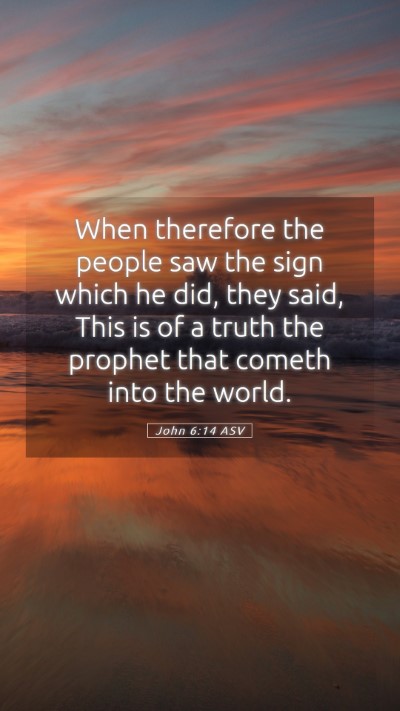 Picture 05 - John 6:14 ASV Mobile Phone Wallpaper - When therefore the people saw the sign which he - Mobile Bible Verse Wallpaper