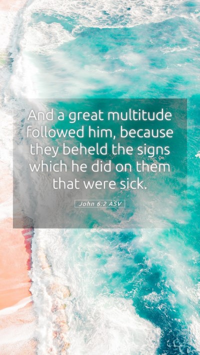 Picture 05 - John 6:2 ASV Mobile Phone Wallpaper - And a great multitude followed him, because they - Mobile Bible Verse Wallpaper