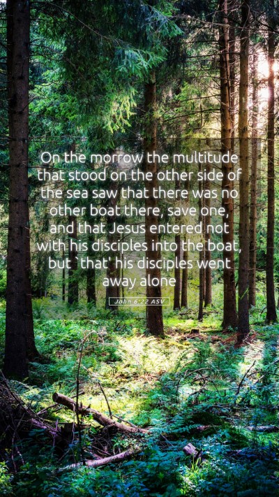 Picture 05 - John 6:22 ASV Mobile Phone Wallpaper - On the morrow the multitude that stood on the - Mobile Bible Verse Wallpaper
