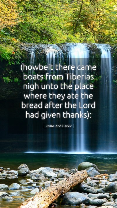 Picture 05 - John 6:23 ASV Mobile Phone Wallpaper - (howbeit there came boats from Tiberias nigh unto - Mobile Bible Verse Wallpaper