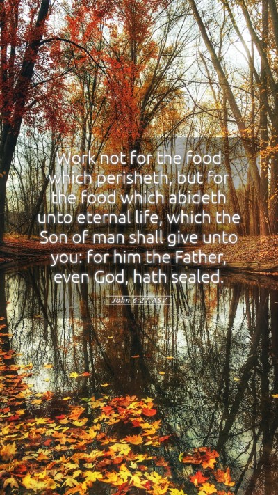 Picture 05 - John 6:27 ASV Mobile Phone Wallpaper - Work not for the food which perisheth, but for - Mobile Bible Verse Wallpaper