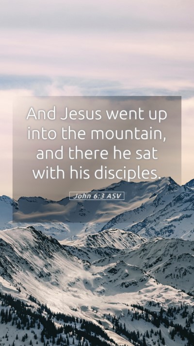 Picture 05 - John 6:3 ASV Mobile Phone Wallpaper - And Jesus went up into the mountain, and there he - Mobile Bible Verse Wallpaper
