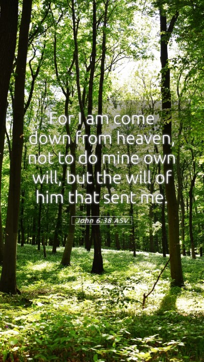 Picture 05 - John 6:38 ASV Mobile Phone Wallpaper - For I am come down from heaven, not to do mine - Mobile Bible Verse Wallpaper