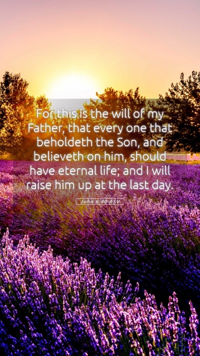Picture 05 - John 6:40 ASV Mobile Phone Wallpaper - For this is the will of my Father, that every one - Mobile Bible Verse Wallpaper