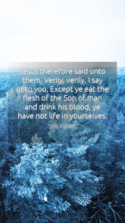 Picture 05 - John 6:53 ASV Mobile Phone Wallpaper - Jesus therefore said unto them, Verily, verily, I - Mobile Bible Verse Wallpaper