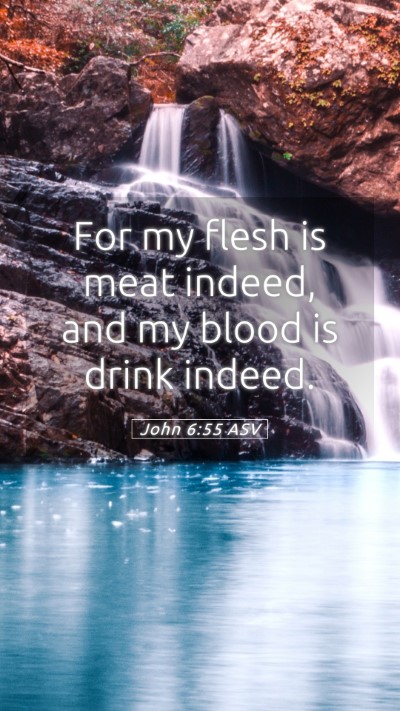 Picture 05 - John 6:55 ASV Mobile Phone Wallpaper - For my flesh is meat indeed, and my blood is - Mobile Bible Verse Wallpaper