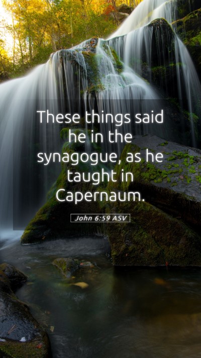 Picture 05 - John 6:59 ASV Mobile Phone Wallpaper - These things said he in the synagogue, as he - Mobile Bible Verse Wallpaper