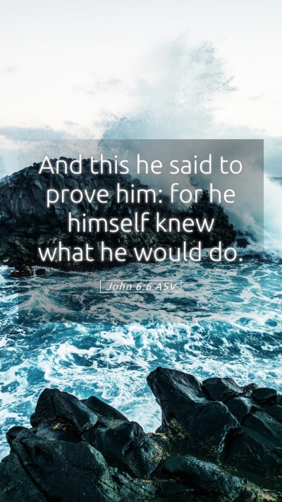 Picture 05 - John 6:6 ASV Mobile Phone Wallpaper - And this he said to prove him: for he himself - Mobile Bible Verse Wallpaper