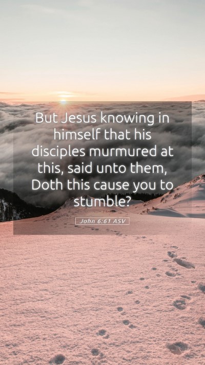 Picture 05 - John 6:61 ASV Mobile Phone Wallpaper - But Jesus knowing in himself that his disciples - Mobile Bible Verse Wallpaper