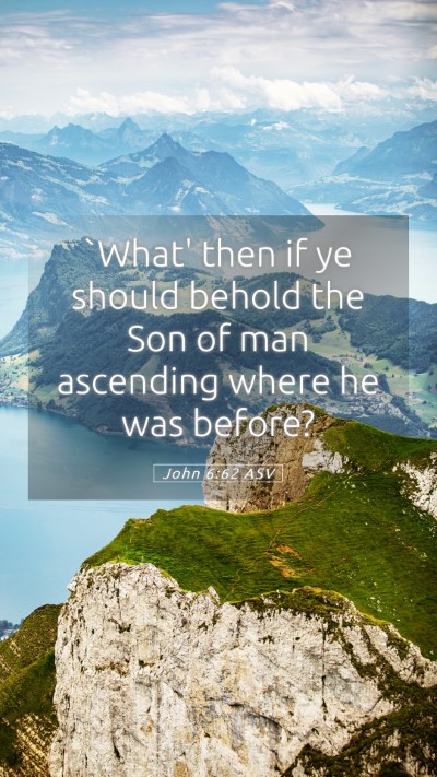 Picture 05 - John 6:62 ASV Mobile Phone Wallpaper - `What' then if ye should behold the Son of man - Mobile Bible Verse Wallpaper