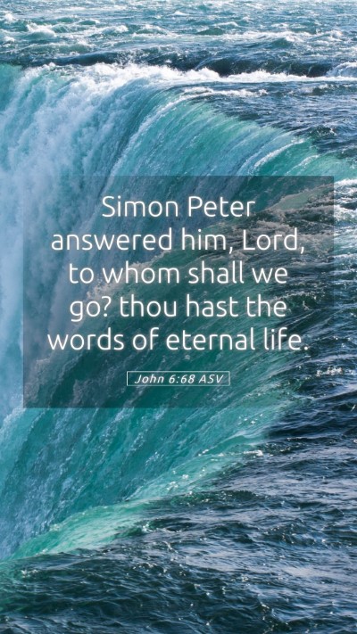 Picture 05 - John 6:68 ASV Mobile Phone Wallpaper - Simon Peter answered him, Lord, to whom shall we - Mobile Bible Verse Wallpaper