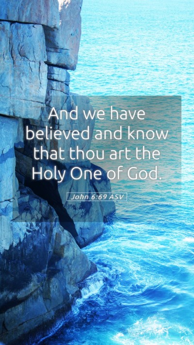 Picture 05 - John 6:69 ASV Mobile Phone Wallpaper - And we have believed and know that thou art the - Mobile Bible Verse Wallpaper