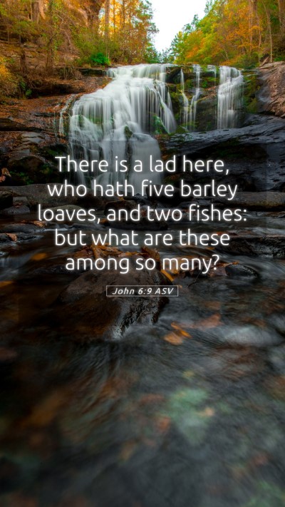 Picture 05 - John 6:9 ASV Mobile Phone Wallpaper - There is a lad here, who hath five barley loaves, - Mobile Bible Verse Wallpaper