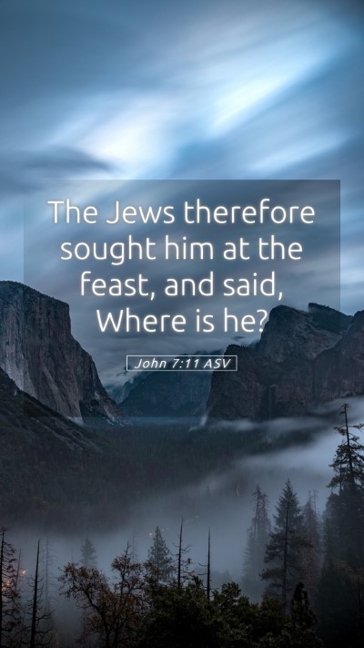 Picture 05 - John 7:11 ASV Mobile Phone Wallpaper - The Jews therefore sought him at the feast, and - Mobile Bible Verse Wallpaper