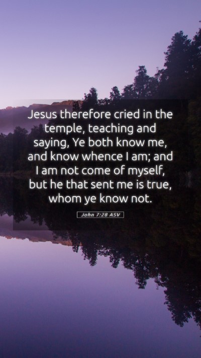 Picture 05 - John 7:28 ASV Mobile Phone Wallpaper - Jesus therefore cried in the temple, teaching and - Mobile Bible Verse Wallpaper
