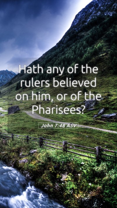 Picture 05 - John 7:48 ASV Mobile Phone Wallpaper - Hath any of the rulers believed on him, or of the - Mobile Bible Verse Wallpaper