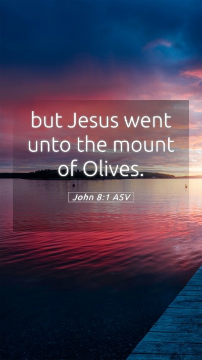 Picture 05 - John 8:1 ASV Mobile Phone Wallpaper - but Jesus went unto the mount of - Mobile Bible Verse Wallpaper