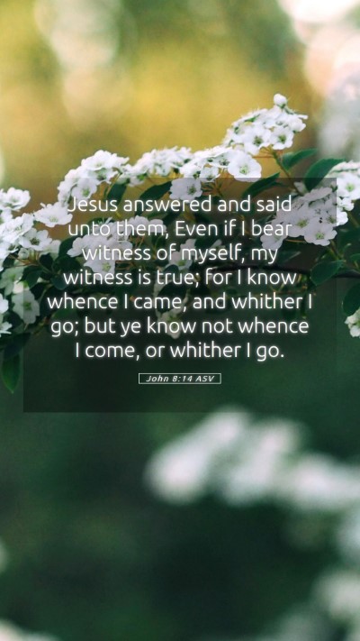 Picture 05 - John 8:14 ASV Mobile Phone Wallpaper - Jesus answered and said unto them, Even if I bear - Mobile Bible Verse Wallpaper