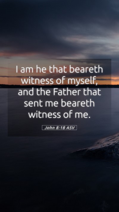 Picture 05 - John 8:18 ASV Mobile Phone Wallpaper - I am he that beareth witness of myself, and the - Mobile Bible Verse Wallpaper