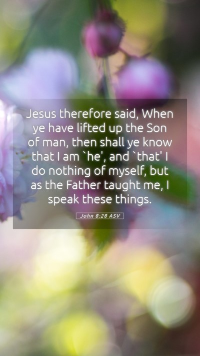 Picture 05 - John 8:28 ASV Mobile Phone Wallpaper - Jesus therefore said, When ye have lifted up the - Mobile Bible Verse Wallpaper