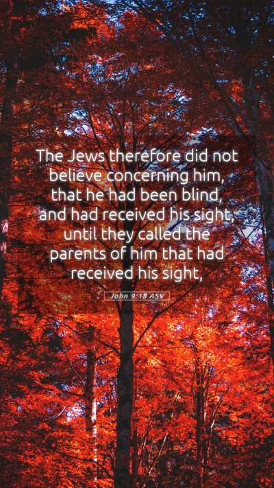Picture 05 - John 9:18 ASV Mobile Phone Wallpaper - The Jews therefore did not believe concerning - Mobile Bible Verse Wallpaper