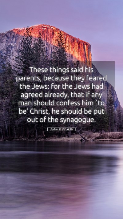 Picture 05 - John 9:22 ASV Mobile Phone Wallpaper - These things said his parents, because they - Mobile Bible Verse Wallpaper