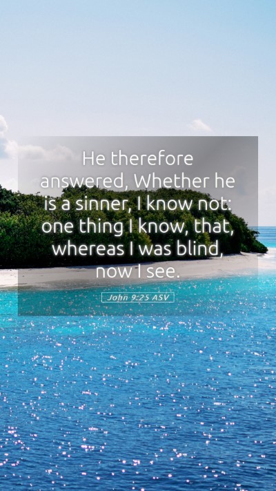 Picture 05 - John 9:25 ASV Mobile Phone Wallpaper - He therefore answered, Whether he is a sinner, I - Mobile Bible Verse Wallpaper