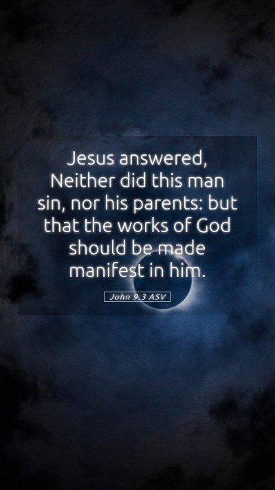 Picture 05 - John 9:3 ASV Mobile Phone Wallpaper - Jesus answered, Neither did this man sin, nor his - Mobile Bible Verse Wallpaper