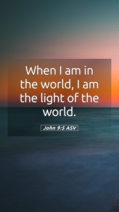 Picture 05 - John 9:5 ASV Mobile Phone Wallpaper - When I am in the world, I am the light of the - Mobile Bible Verse Wallpaper