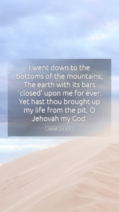 Picture 05 - Jonah 2:6 ASV Mobile Phone Wallpaper - I went down to the bottoms of the mountains; The - Mobile Bible Verse Wallpaper