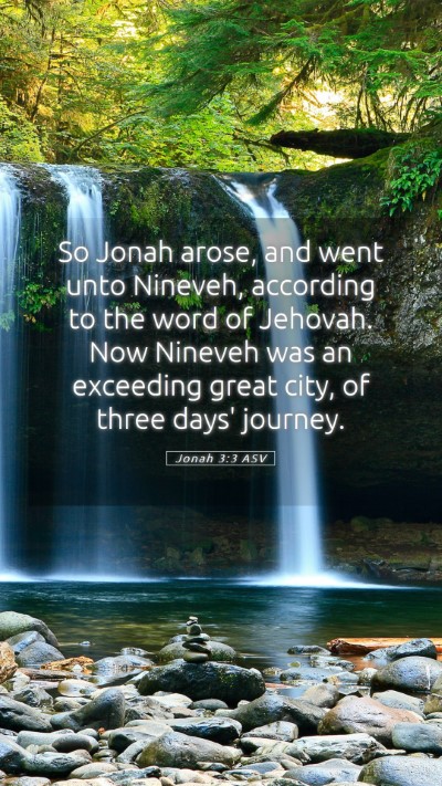 Picture 05 - Jonah 3:3 ASV Mobile Phone Wallpaper - So Jonah arose, and went unto Nineveh, according - Mobile Bible Verse Wallpaper