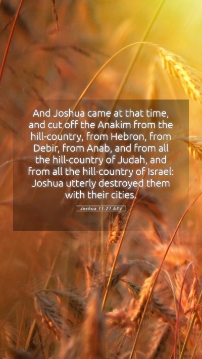 Picture 05 - Joshua 11:21 ASV Mobile Phone Wallpaper - And Joshua came at that time, and cut off the - Mobile Bible Verse Wallpaper