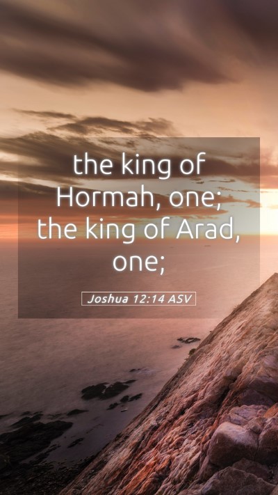 Picture 05 - Joshua 12:14 ASV Mobile Phone Wallpaper - the king of Hormah, one; the king of Arad, - Mobile Bible Verse Wallpaper