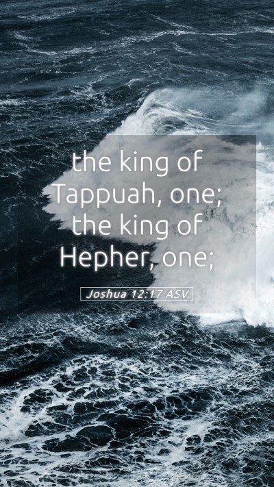 Picture 05 - Joshua 12:17 ASV Mobile Phone Wallpaper - the king of Tappuah, one; the king of Hepher, - Mobile Bible Verse Wallpaper