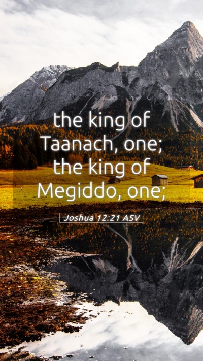 Picture 05 - Joshua 12:21 ASV Mobile Phone Wallpaper - the king of Taanach, one; the king of Megiddo, - Mobile Bible Verse Wallpaper