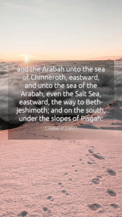 Picture 05 - Joshua 12:3 ASV Mobile Phone Wallpaper - and the Arabah unto the sea of Chinneroth, - Mobile Bible Verse Wallpaper