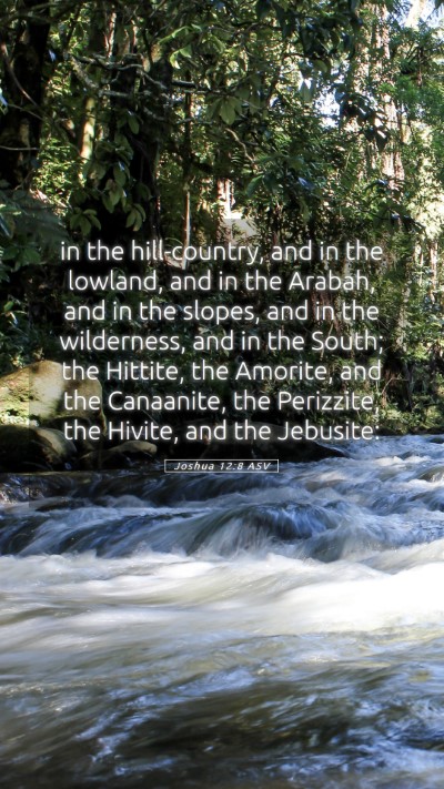 Picture 05 - Joshua 12:8 ASV Mobile Phone Wallpaper - in the hill-country, and in the lowland, and in - Mobile Bible Verse Wallpaper
