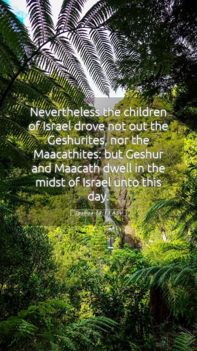 Picture 05 - Joshua 13:13 ASV Mobile Phone Wallpaper - Nevertheless the children of Israel drove not out - Mobile Bible Verse Wallpaper