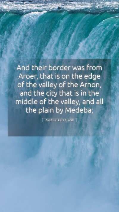 Picture 05 - Joshua 13:16 ASV Mobile Phone Wallpaper - And their border was from Aroer, that is on the - Mobile Bible Verse Wallpaper