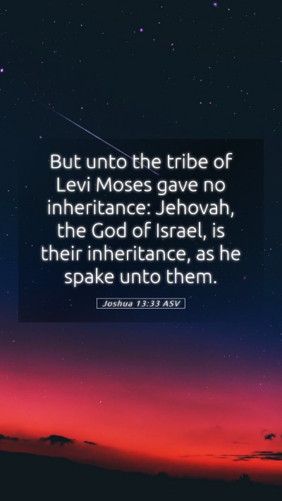 Picture 05 - Joshua 13:33 ASV Mobile Phone Wallpaper - But unto the tribe of Levi Moses gave no - Mobile Bible Verse Wallpaper
