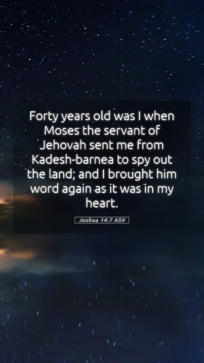 Picture 05 - Joshua 14:7 ASV Mobile Phone Wallpaper - Forty years old was I when Moses the servant of - Mobile Bible Verse Wallpaper