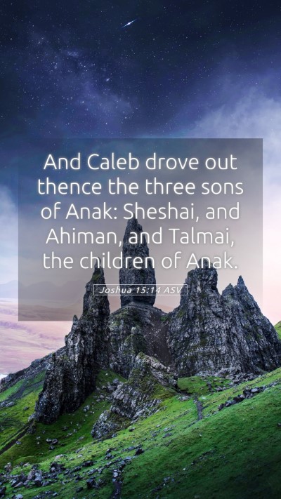 Picture 05 - Joshua 15:14 ASV Mobile Phone Wallpaper - And Caleb drove out thence the three sons of - Mobile Bible Verse Wallpaper