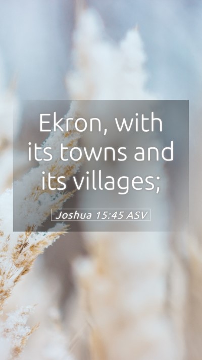 Picture 05 - Joshua 15:45 ASV Mobile Phone Wallpaper - Ekron, with its towns and its - Mobile Bible Verse Wallpaper