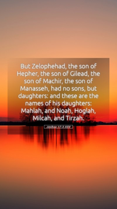 Picture 05 - Joshua 17:3 ASV Mobile Phone Wallpaper - But Zelophehad, the son of Hepher, the son of - Mobile Bible Verse Wallpaper